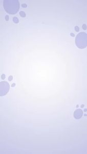 PAWPRINTS OMEGA OIL 100ml: Suplemen Kesehatan Kulit & Rambut untuk Kucing & Anjing