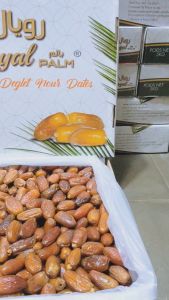 Kurma Tunisia Madu 1 kg Non Tangkai - Deglet Nour