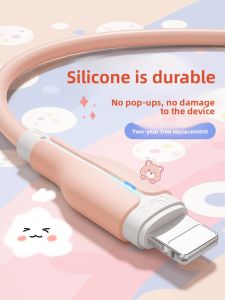 LZ | Fast Charging Extended Data Cable 2.7m