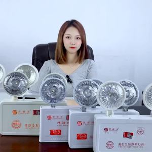 New National Standard Fire Emergency Light led Safety Exit Indicator Light Power Outage Evacuation Household Dual-Head Emergency Lighting Lamp