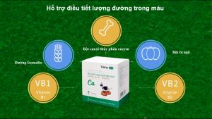 Canxi dành cho người tiểu đường Ca Blood Sugar Tiens Thiên Sư bổ sung canxi hữu cơ