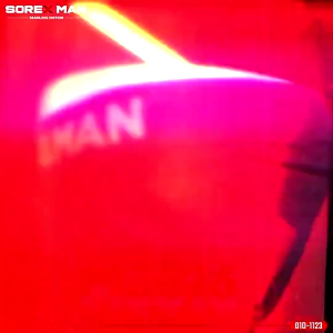 (2 PCS) Sorex Man Seamless Boxer Pria Microfiber Trunk CD Cowo M 3816