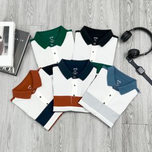 Áo thun áo phông nam YODY áo polo mắt chim có cổ phối kẻ trẻ trung thoải mái thoáng mát APM6277 Áo Polo Nam Giúp Thấm Hút Tốt Áo Thun Yody Sản Xuất Tại Việt Nam - Lazada