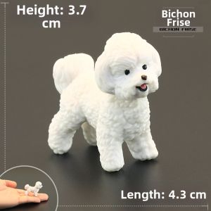 MENGSILE | Simulation Educational Toy Animal Model