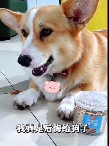 Myfoodie | Oral Cleaning Teeth Sticks for Dogs Dog Chews Training Rewards