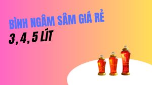 Bình thủy tinh ngâm rượu 3 lít có vòi giá rẻ
