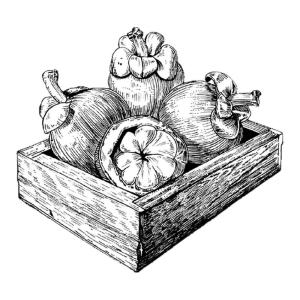 Sách Vẽ Tranh Sáng Tạo A5 Cho Trẻ Em Sách Vẽ Nhanh Vật Thể Tĩnh Sách Vẽ Tranh Nghệ Thuật Sách Vẽ Phác Thảo Sách Vẽ Phác Thảo Sáng Tạo