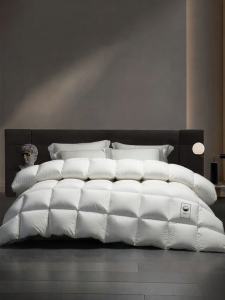 Boyang Home Textile | Thick Warmth Antibacterial Quilt