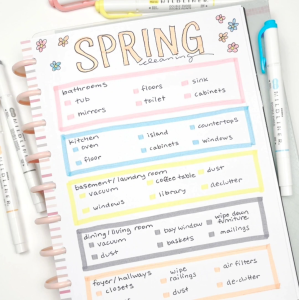 ZEBRA MILDLINER DUAL-TIP HIGHLIGHTER MARKER SET OF 5
