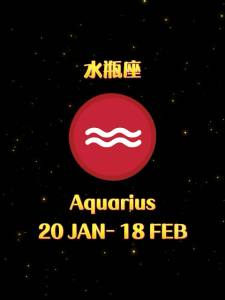 [PREMIUM SELECTED CRYSTALS] LUMIKNOT HOROSCOPE AQUARIUS 100% HANDMADE BLESSING ADJUSTABLE HAND ROPE/CORD/BRACELET精选水瓶座