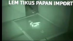 Lem Tikus Papan Super Lengket / Alat Penangkap dan Perangkap Tikus / Lem Jebakan Tikus / Perangkap Lem Tikus / Mouse Glue