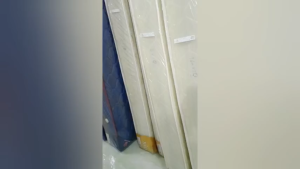 [mua 1 tặng 1] Nệm Lò Xo cao cấp Royal Vạn Thành 2 mặt vải - Độ Cao 22cm-Êm ái-Đàn hồi tốt- BH 8 Năm-Tặng ga Jessey Vạn Thành