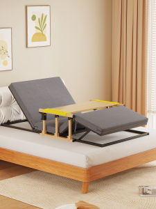 Electric Rise Assistor with Dining Table Automatic Adjustable Backrest Home Care Elderly Getting up Backrest Massage Equipment