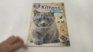 Kittens & Cats Colouring Book with Kitty Stickers for Kids to Color