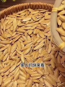 Salty Pumpkin Seeds Health Supplement