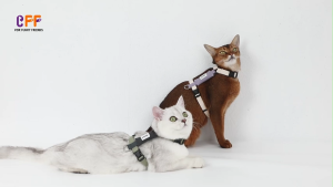 สายรัดอกแมวสีตัดพร้อมสายจูงแบบตัว H เย็นสบาย ดีไซน์น้ำหนักเบา