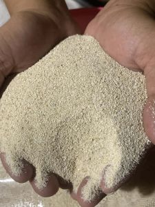 1Kg WHITE SAND Natural Perfect for Aquarium and Landscaping