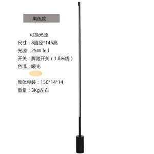 Minimalist Italian Design Floor Lamp Living Room Sofa Atmosphere Light Bedroom Creative Lamps LED Source Spray Painted Iron