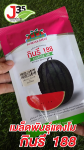 เมล็ดแตงโม กินรี188 40กรัม เมล็ดพันธุ์ตราตะวันต้นกล้า เมล็ดพันธุ์ดี เนื้อแน่แดงเข้ม หวานกรอบ