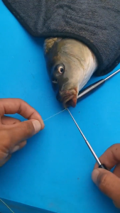 Non Slip Stainless Steel Fishing Fish Hook Detacher Quick Removal Extractor Device Tool