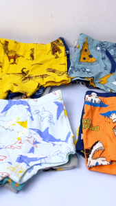 Kids Paradise 3 Pcs Boxer Underwear Cotton Dinosaur Pattern Cartoon Design Brief for Boys Ages 2-13 Years Old