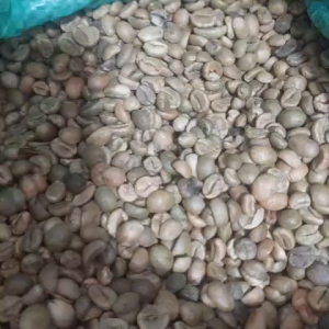 Cà phê nhân hạt tươi--- Rubusta 500gr-1000gr