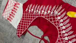 Womens Fashion  Readymade Saree Blouse|Cotton Blouse|Durga Pooja |Red and White | Embroidered   Design Stiched Blouse with sleeves | Size - 34 | Color - Red and White