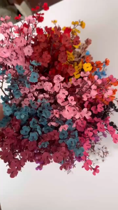 Romantis Halus Bunga Gypsophila Buatan Berkualitas Tinggi – Butir Bunga Ultra Realistis Simbol Cinta Murni & Ketenangan Cocok Dekorasi Rumah Kamar Tidur & Pesta Pernikahan Beli Sekarang Diskon!