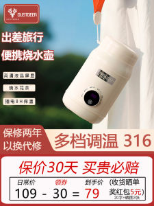 Portable Mini Electric Kettle 316 Stainless Steel Travel Insulated Water Boiler Quick Heating Dual Layer Inner Tank Auto Cut-Off