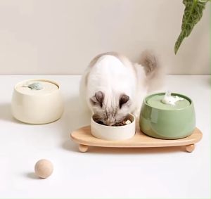 Combo bình lọc nước kèm bát ăn cho thú cưng chất liệu gốm sứ cao cấp - 4pets official