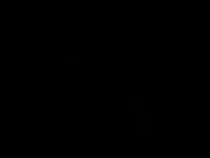 BULUMATA SAMBUNG NAVINA EYELASH EXTENSION 2D VOLUME