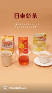 Japan NITTOH Instant Powder Beverages Royal Milk Tea 8 Sticks Import from Japan