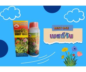 เบสท์วัน**แคลเซียม+โบรอน กระตุ้นดอก ช่วยให้ดอกดก ติดผลดี ขยายผล เพิ่มน้ำหนัก เพิ่มรสชาติ ให้กับพืชทุกนิด ธาตุอาหารรอง ธาตุอาหารเสริม