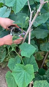MOKETA Plant Tying Machine Garden Plant Tapener Tool For Vegetables Grapes With 20 Rolls Of Tape+1 Box Nail