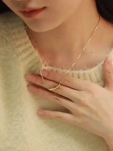 Ins Style All-Match Special-Interest Design Small Eggplant Pendant Women Ladies Shiny Golden Color Tube Necklace Metal Clavicle Chain Jewelry Necklace For Women