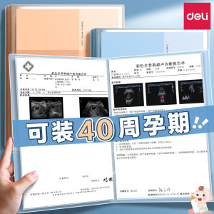 Deli Chất Liệu PP Mục Lục Lưu Trữ Hồ Sơ Thai Kỳ 60 Trang Bằng Chứng Y Tế Chứng Chỉ Thai Kỳ Túi Đựng Tài Liệu A4 Đánh Dấu Con Rắn