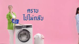 ESSENCE น้ำยาซักผ้าสำหรับเครื่อง 700มล แบบเติม กลิ่น LOVE PASSION