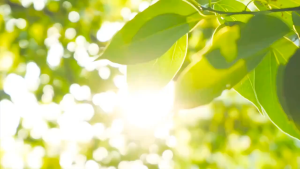 【รับประกัน3ปี】พัดลมมือถือ พัดลมพกพา เป่าได้ 72ชม! 5000mAh ชาร์จ USB แบบพกพา ความเร็วสูง สามารถปรับได้ เหมาะกับกลางแจ้ง