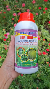 [TRUNG THIEN THINH] LỚN TRÁI phân bón chuyên cam quýt bưởi giúp bóng trái nặng ký ngon ngọt mỏng vỏ bóng trái chai 500ml