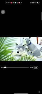 Cuddly Dog Toy Pillow: A Laying Dog Stuff Toy for Your Pet
