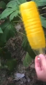 【AST|READY STOCK】450mlซีซี มีให้เลือก กับดักแมลงวันทอง น้ำยาดักแมลงวันทอง สารล่อแมลงทอง สารล่อแมลงวันทอง กาวดักแมลง ล่อแมลงวันทอง สเปรย์กาว เมทิลยูจินอล