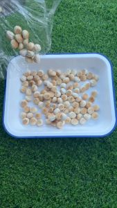 ขนมผิงกะทิดั้งเดิม สูตรโบราณ ขนาด 1 กิโลกรัม หอม กรอบ สะอาด อร่อย ละลาย เปรียบเทียบกับหน้า มีหลากหลายเลือก ชุดหมอน