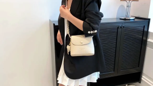 2026 Crossbody Banquet Bag Fashion Versatile Evening Dress Banquet Bag Handbag