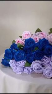 Mawar Bludru Single x1