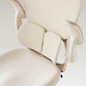 Hinomi Q2 Ergonomic Chair with Memory Foam Free Footrest Office Chair with Adjustable Lumbar Support Headrest Armrest