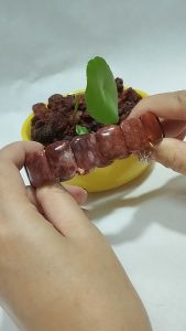C0018  Coral Jade Hand Bar 珊瑚玉 手牌 镯子 手链 吊坠 首饰 玉石 配饰 Crystal Bracelet Bangles Pendants Papan Bracelets JadeBuckles Coral Jade with Collectible Value