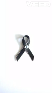 ริบบิ้นไว้อาลัย แบบผ้า ริบบิ้นดำไว้อาลัย ริบบิ้นดำไว้ทุกข์ โบว์ดำไว้อาลัย โบว์ดำไว้ทุกข์ เข็มกลัดไว้ทุกข์ ริบบิ้นไว้ทุกข์