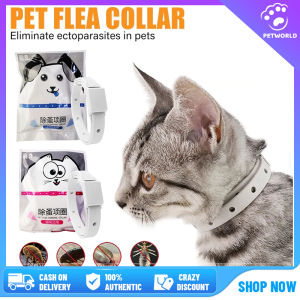 In Stock: Pet Collar for Kitten & Puppy - Lasting Protection Against Ticks, Mites & Fleas