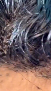 BPOM) Bio Herbal Family Care Shampoo Kutu/ Bio Herbal SAMPO Kutu