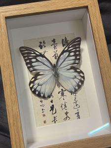 New Chinese Style Decorative Butterfly Specimen Artwork Handmade Gift Festival Creative Small Audience Hanging Painting